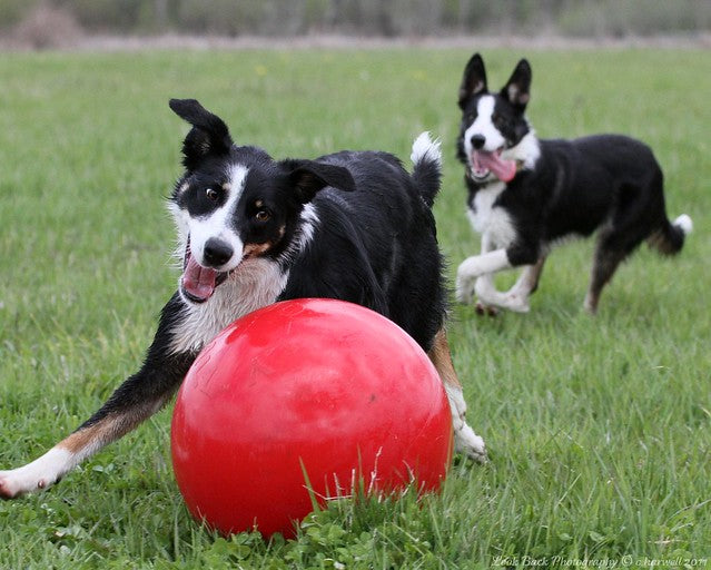 HappyPaw Ball 27-30In (68-75Cm)