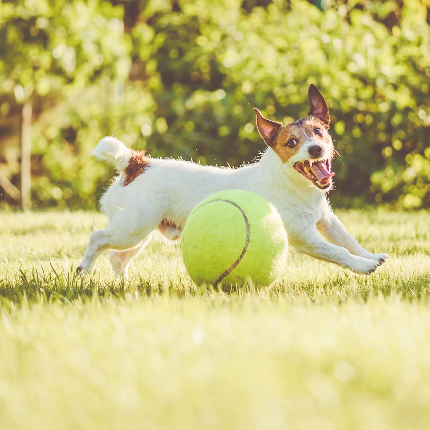 Big Tennis Ball for Dogs-9.5" Inflatable Giant Tennis Balls Large Pet Toys for Outdoor/Indoor Sports Oversize Dog Toy Ball for Small/Medium/Large Dogs Funny Gifts